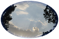 ハンドセラピー＆アロマ講座