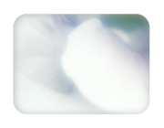 クリスタルワンド講座